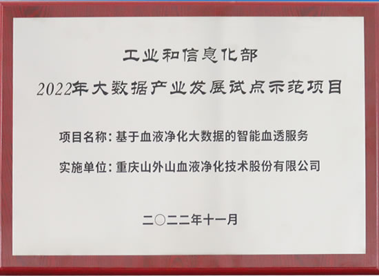 行业唯一！山外山公司入选“2022年大数据产业发展试点示范项目”